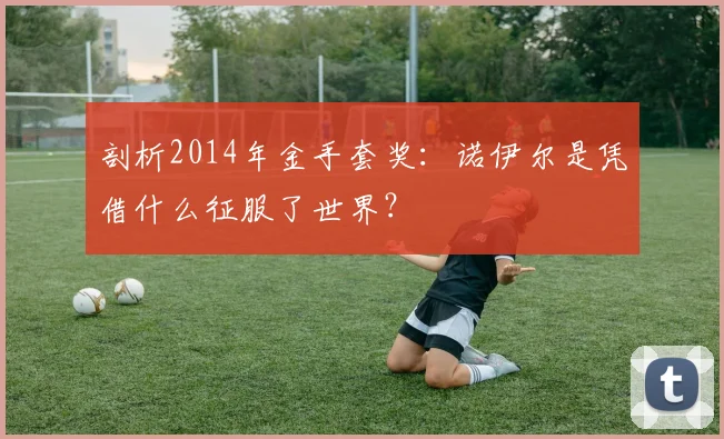 剖析2014年金手套奖：诺伊尔是凭借什么征服了世界？