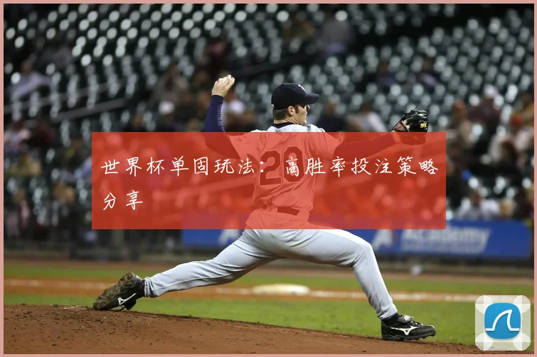 世界杯单固玩法：高胜率投注策略分享