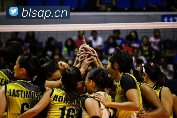 App Interface Preview